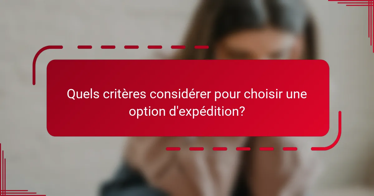 Quels critères considérer pour choisir une option d'expédition?